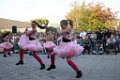 Schoolplein Festival B 377